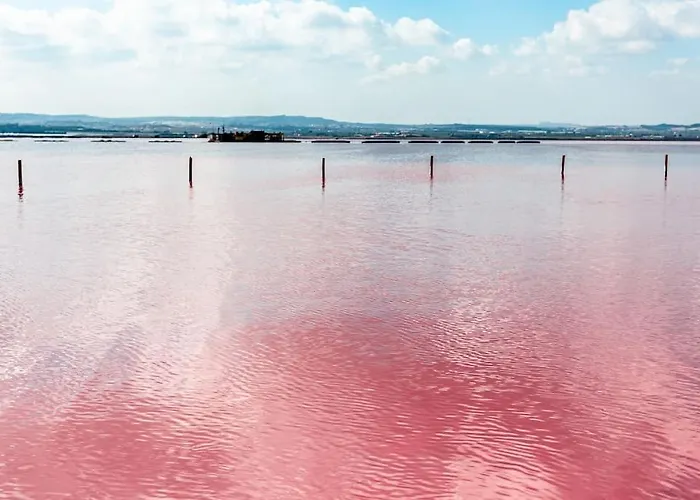 Your Spain R17 2b Torrevieja